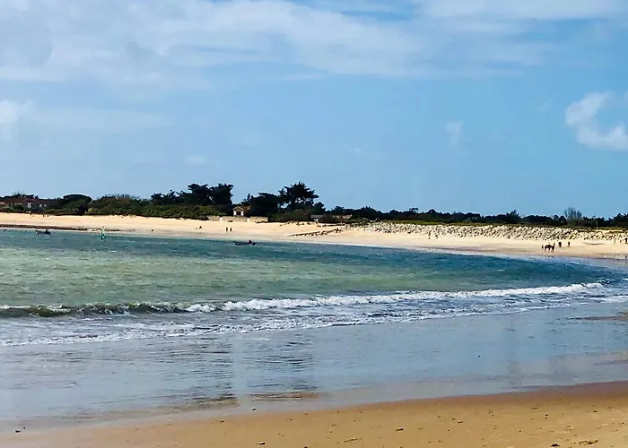Maison Oleron Proximite Plages